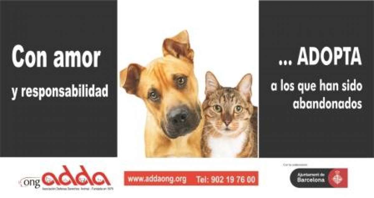 adda-ong-adda-inicia-su-campa-a-identifica-y-adopta